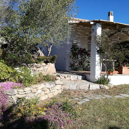 Agriturismo La Valletta Santa Teresa Gallura Ngoại thất bức ảnh