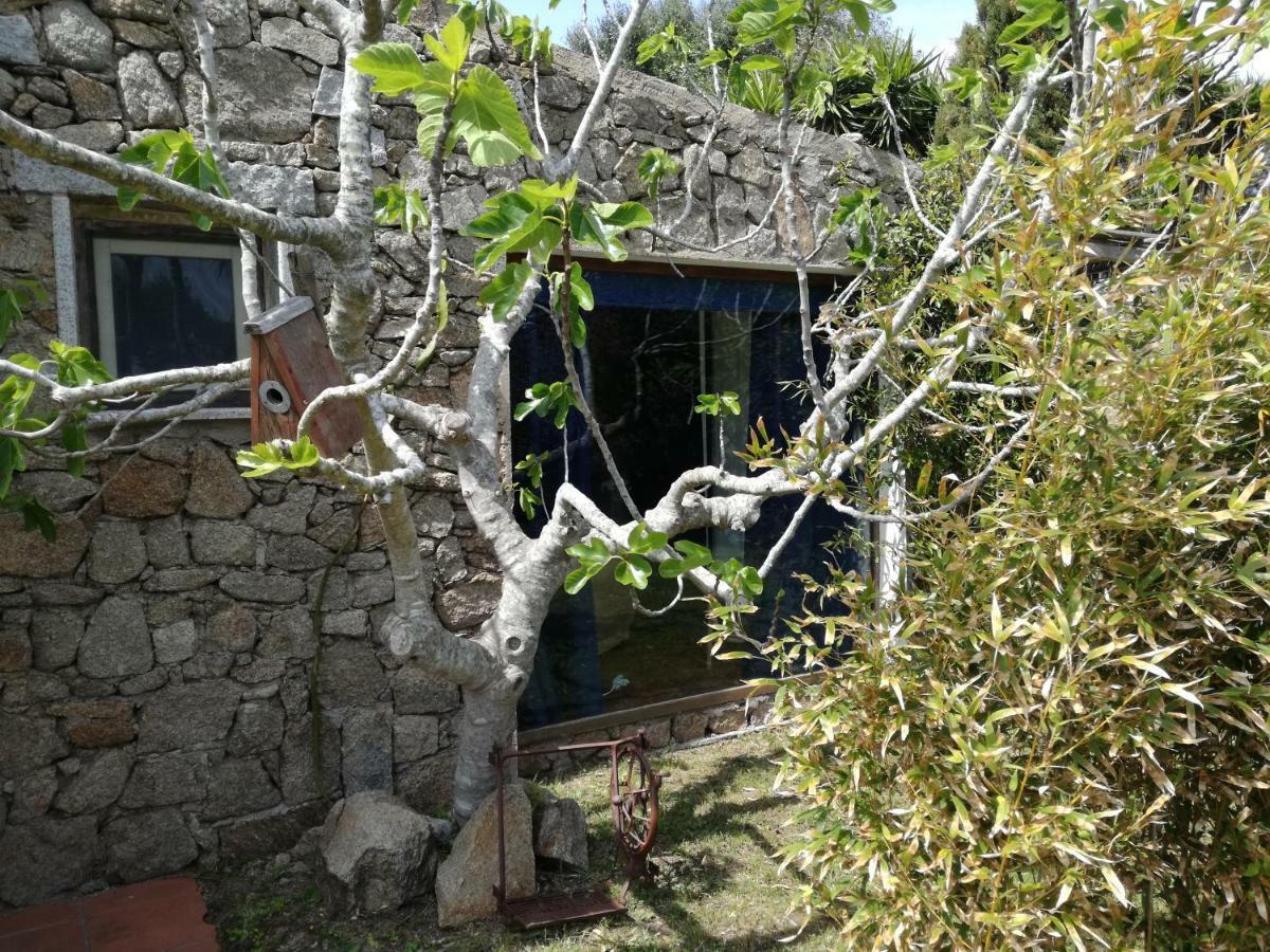 Agriturismo La Valletta Santa Teresa Gallura Ngoại thất bức ảnh