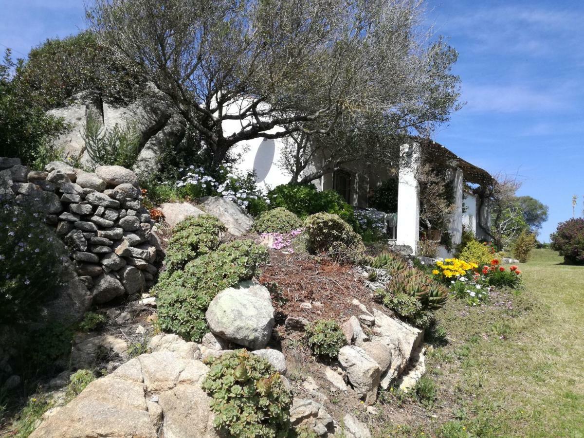 Agriturismo La Valletta Santa Teresa Gallura Ngoại thất bức ảnh